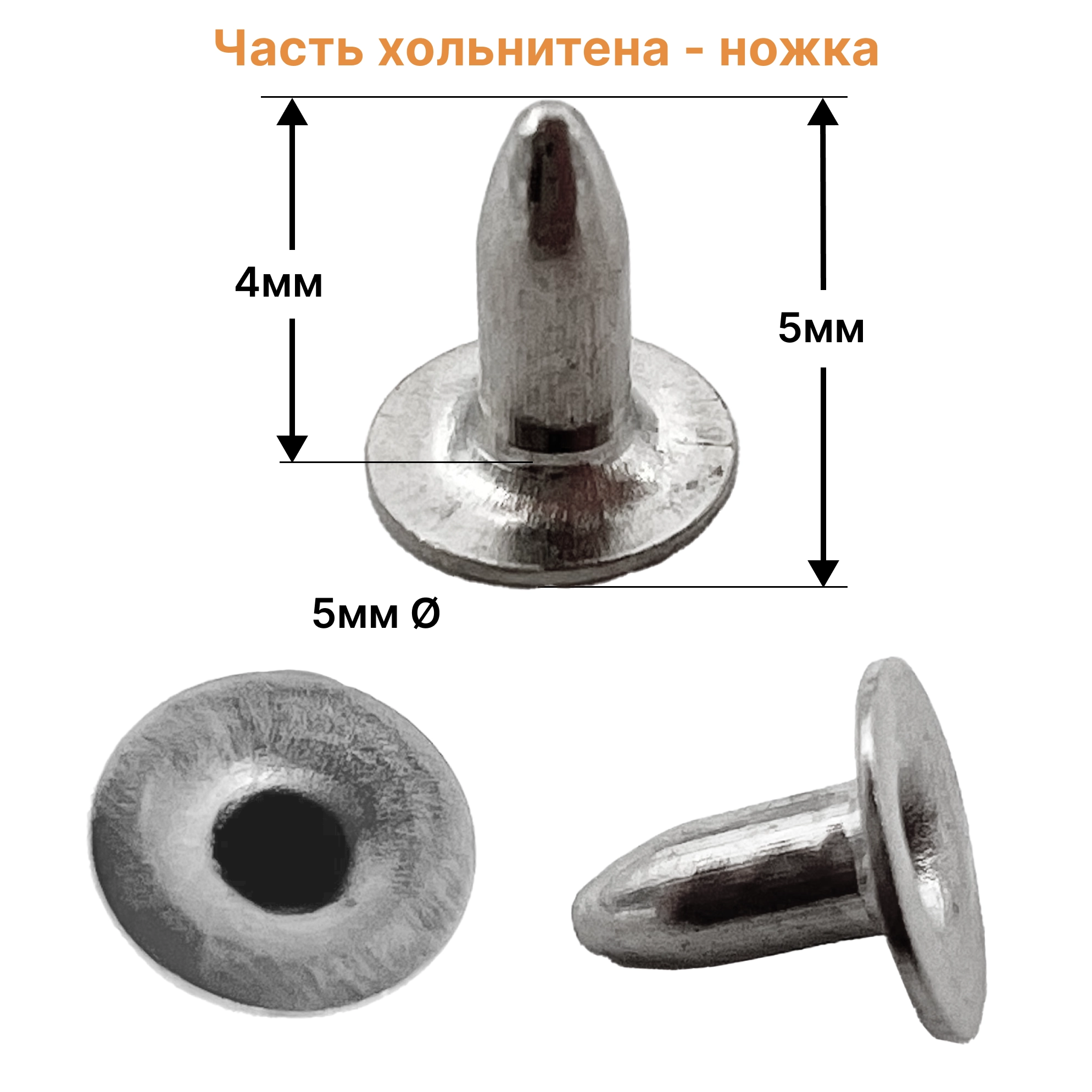 Часть хольнитена-ножка